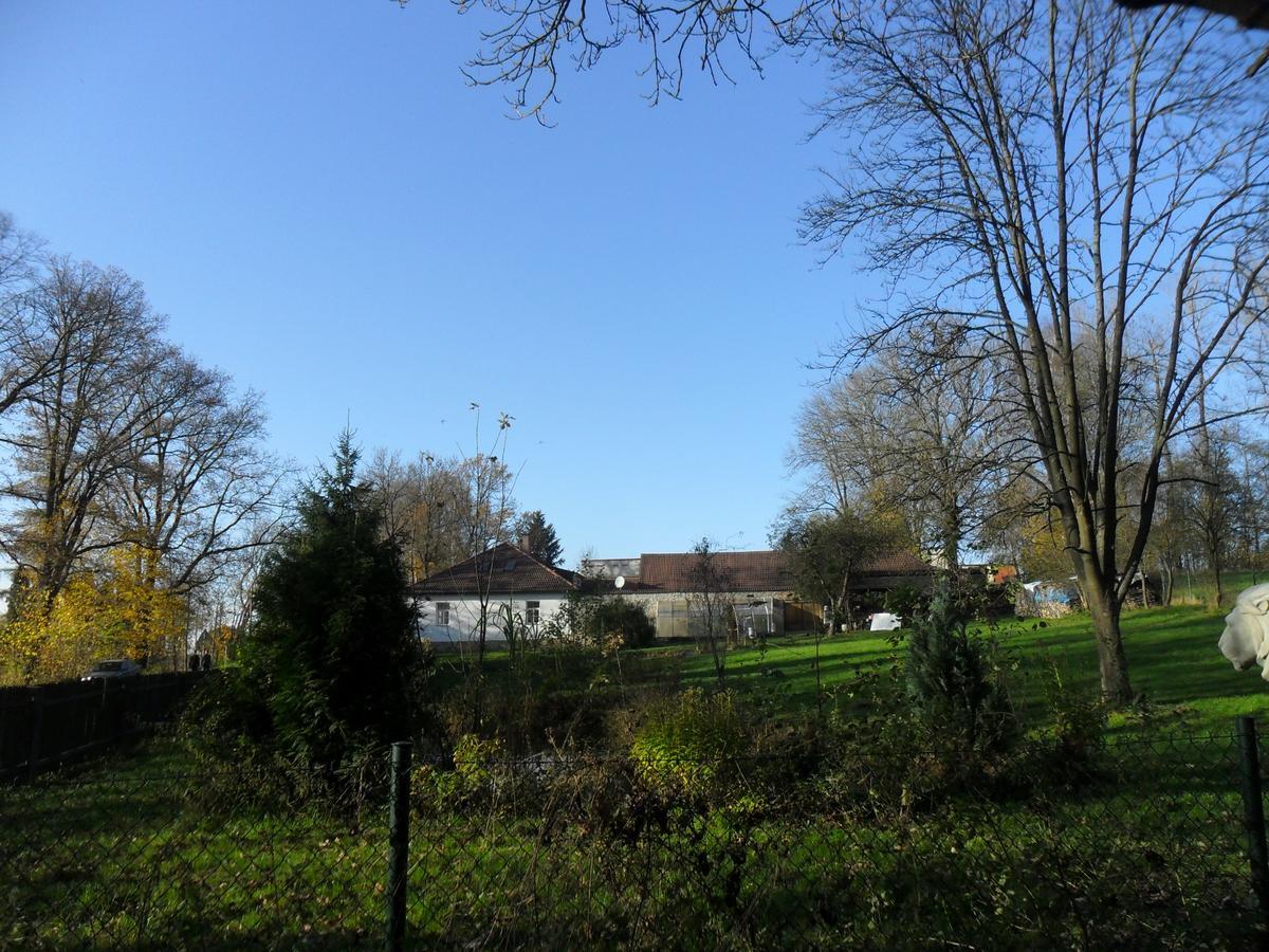 Ubytování U Lva Žirovnice Exterior foto